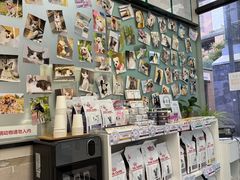 -爱妮康宠物医院·干细胞免疫细胞·肿瘤·心脏(张江店)