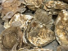 -宴小馆·小海鲜青岛菜(五四广场店)