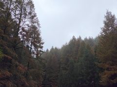 -山王坪喀斯特国家生态公园