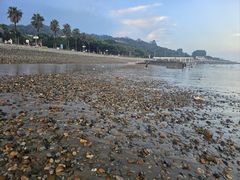 -演武大桥观景平台