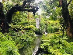 -Chom Cafe and Restaurant