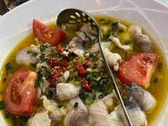-港升鱼师傅·中山脆肉鲩