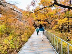 -克什克腾世界地质公园青山景区