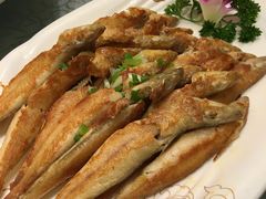 -团圆食府(新东路店)