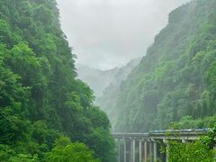 -碧峰峡风景区