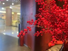 -拾宴(汇智国际商业中心店)