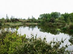 -桤木河湿地公园