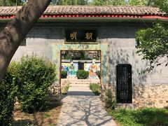 -东方巨龟苑景区