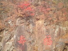 -关门山森林公园