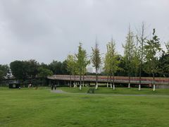 -府河摄影公园