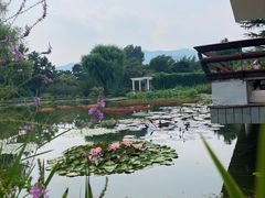 -国家植物园南园