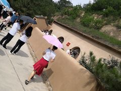 -延安杨家岭革命旧址