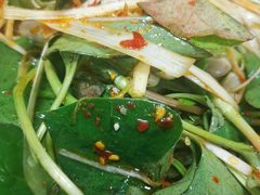 -韩妹鱼庄·泸定老字号(泸定店)