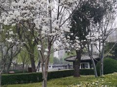 -团结湖公园