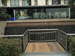 -大湾区中央湿地公园-十九涌