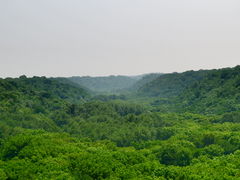 -大青沟风景区
