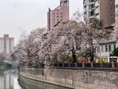-红星桥(地铁站)