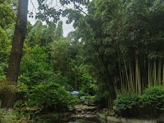 -望江楼公园
