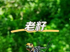 -国家植物园