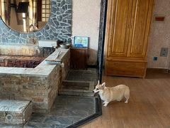 -北京美神宫艺术主题温泉酒店