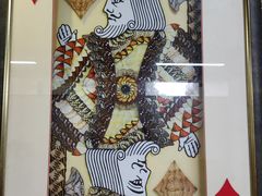 -上海昆虫博物馆