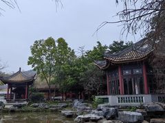 -顺峰山公园