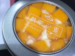 -执茶识麦(万达华府店)
