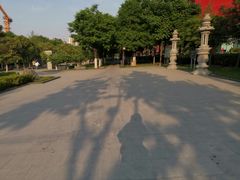 -木塔寺遗址生态公园