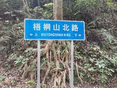 -梧桐山风景名胜区