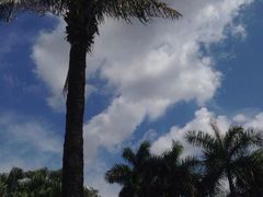 -东莞御景湾湖畔酒店·莱奥咖啡厅