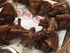 -百利鸽王(紫薇路店)