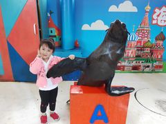 -成都浩海立方海洋公园