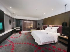 -南京禄口机场雅高铂尔曼大酒店