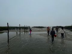 -北海金海湾红树林生态旅游区