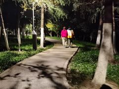 -四里河滨水生态公园