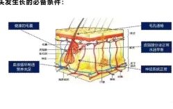 -木北造型