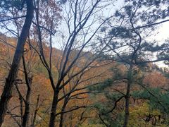 -崂山巨峰游览区