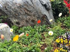 -东莞植物园