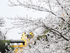 -鸡鸣寺