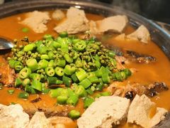 -探鱼·鲜青椒爽麻烤鱼(广州花都来又来店)