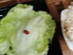 -南门四季铜锅涮肉(左家庄店)