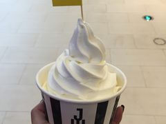 -JW德国冻酸奶Frozen Yogurt(龙湖成都滨江天街店)