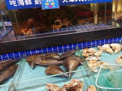 -宝轩渔府·老字号海鲜·正宗津菜(水上店)