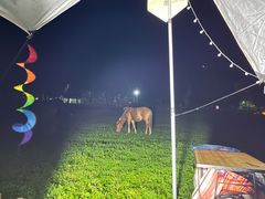 -武陵山森林公园