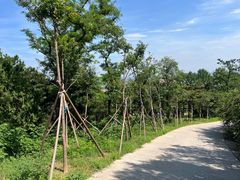 -北京西山国家森林公园