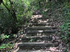 -杭州半山国家森林公园