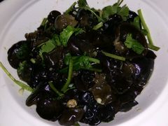 香菜拌木耳-河南食府(人民路店)
