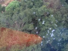 iphone_upload_pic-普陀山佛顶山索道