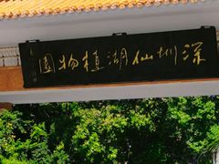 -深圳仙湖植物园