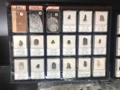 -志强陨石馆(双季花艺店)